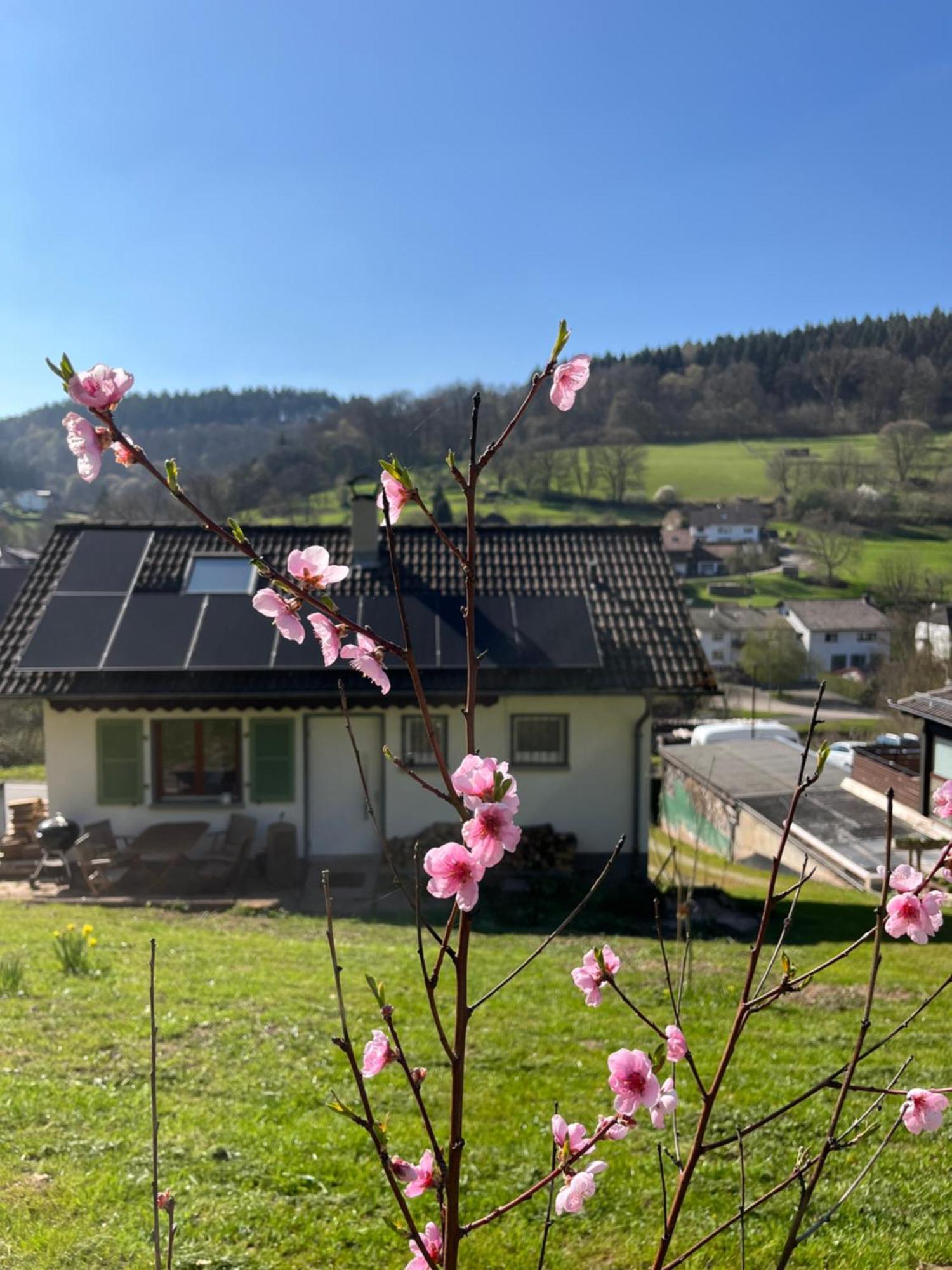 Holiday home Ferienhaeusel Allemuehl *